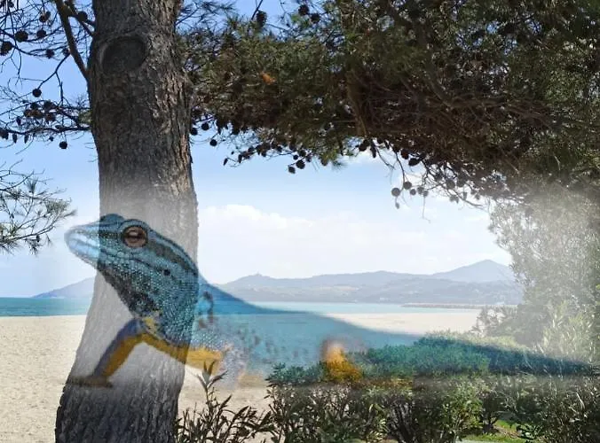 O GECKO MARIN T2 classé entre mer et village à pied